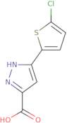 5-(5-Chloro-thiophen-2-yl)-2H-pyrazole-3-carboxylic acid