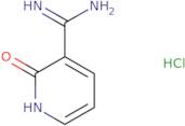 2-Hydroxy-3-pyridinecarboximidamide hydrochloride