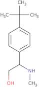 (2S)-2-(4-tert-Butylphenyl)-2-(methylamino)ethan-1-ol