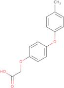 2-[4-(4-Methylphenoxy)phenoxy]acetic acid