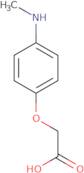 2-[4-(Methylamino)phenoxy]acetic acid