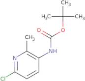 tert-Butyl 6-chloro-2-methylpyridin-3-ylcarbamate