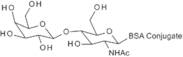 N-Acetyl-D-lactosamine BSA (3 atom spacer)