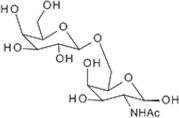 2-Acetamido-2-deoxy-6-O-(b-D-galactopyranosyl)-D-galactopyranose