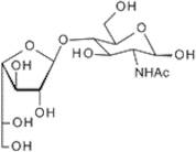 2-Acetamido-2-deoxy-4-O-(b-D-galactofuranosyl)-D-glucopyranose