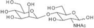 2-Acetamido-2-deoxy-4-O-(β-D-mannopyranosyl)-D-glucopyranose