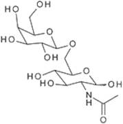 N-Acetylallolactosamine