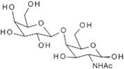 2-Acetamido-2-deoxy-4-O-(b-D-galactopyranosyl)-D-galactopyranose
