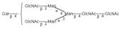 A2G1 N-Glycan