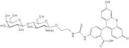 N-Acetyl-D-lactosamine ethyl fluorescein 5-thiourea