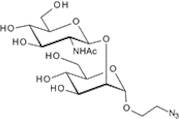 2-Azidoethyl 2-acetamido-2-deoxy-3-O-(2-acetamido-2-deoxy-b-D-galactopyranosyl)-b-D-glucopyranoside
