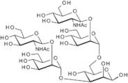 Bianntennary N-linked core pentasaccharide
