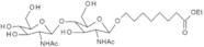 8-Ethoxycarbonylheptyl N,N'-di-O-acetyl-b-chitobioside