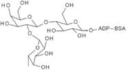 2'-Fucosyllactose-APD-BSA