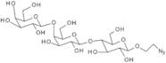 GalNAc-b-1-4-Gal-b-1-4-Glc-b-ethylazide