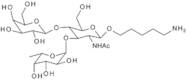 Lewis X 1-O-n-pentylamine