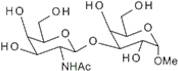 Methyl 3-O-(2-acetamido-2-deoxy-b-D-galactopyranosyl)-a-D-galactopyranoside