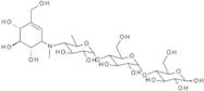 N-Methyl acarbose