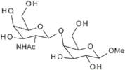 Methyl 4-O-(2-acetamido-2-deoxy-b-D-galactopyranosyl)-b-D-galactopyranoside