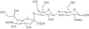 3'-b-Sialyl-N-acetyllactosamine
