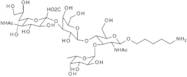 3'-Sialyl Lewis X b 1-O-n-pentylamine