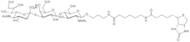 3'-a-Sialyl-N-acetyllactosamine-sp-biotin