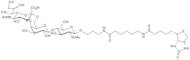 6'-a-Sialyl-N-acetyllactosamine-sp-biotin