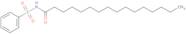 N-(Phenylsulfonyl)palmitamide