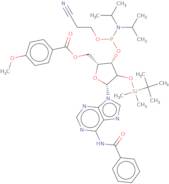 5'-O-p-Anisoyl-N6-benzoyl-2'-O-tert-butyldimethylsilyladenosine 3'-CE phosphoramidite