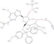 N-Acetyl-2'-O-[(tert-butyl)dimethylsilyl]-5'-O-DMT-6'-O-methylguanosine-3'-CE phosphoramidite