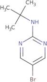 5-Bromo-2-t-butylaminopyrimidine