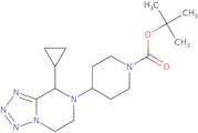 2-Bromo-1-phenyl-1-ethanone oxime