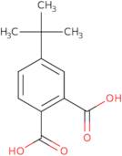 4-tert-Butylbenzene-1,2-dicarboxylic acid
