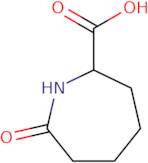 7-Oxoazepane-2-carboxylic acid