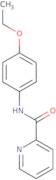 N-(4-Ethoxyphenyl)pyridine-2-carboxamide