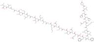 [Pyr11]-Amyloid β-Protein (Human,11-40) (0.5 mg Vial)