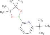 2-(tert-Butyl)-6-(4,4,5,5-tetramethyl-1,3,2-dioxaborolan-2-yl)pyridine