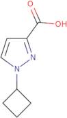 1-Cyclobutyl-1H-pyrazole-3-carboxylic acid