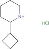 2-Cyclobutylpiperidine hydrochloride