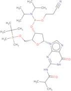 5'-O-tert-Butyldimethsilyl-2'-Deoxy-N2-isobutyrylguanosine 3'-CE phosphoramidite