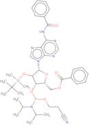 N6-Benzoyl-5'-O-benzoyl-2'-O-tert-butyldimethylsilyladenosine 3'-CE phosphoramidite