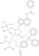 N6-Benzoyl-2'-O-tert-butyldimethylsilyl-5'-O-trityladenosine 3'-CE phosphoramidite