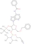 N6-Benzoyl-5'-O-benzyl-2'-O-tert-butyldimethylsilyladenosine 3'-CE phosphoramidite