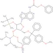 2'-O-tert-Butyldimethylsilyl-5'-O-DMT-N6-phenoxyacetyladenosine 3'-CE phosphoramidite