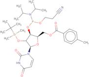 2'-O-tert-Butyldimethylsilyl-5'-O-toluoyluridine 3'-CE phosphoramidite