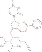 5'-O-Benzoyl-2'-deoxyuridine 3'-CE phosphoramidite