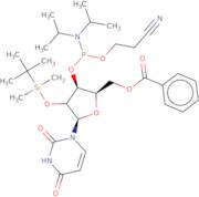 5'-O-Benzoyl-2'-O-tert-butyldimethylsilyluridine 3'-CE phosphoramidite