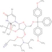 5-Bromo-2'-O-tert-butylbutyldimethylsilyl-5'-O-DMT-uridine 3'-CE phosphoramidite