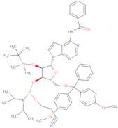 N6-Benzoyl-2'-tert-butyldimethylsilyl-7-deaza-5'-O-DMT-adenosine 3'-CE phosphoramidite