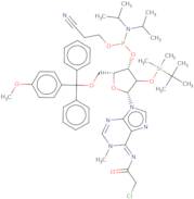 2'-O-tert-Butyldimethylsilyl-N6-chloroacetyl-N1-methyl-5'-O-MMT-adenosine 3'-CE phosphoramidite